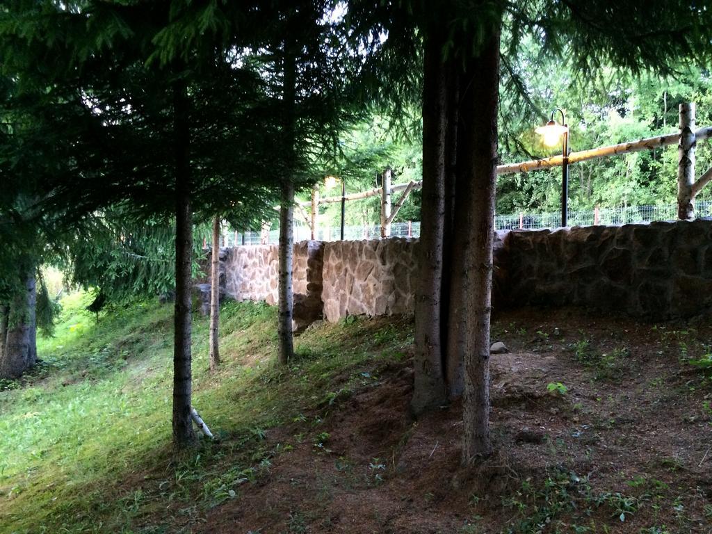 Отель Casa Laur Cu Plaja Privata Колибица Экстерьер фото